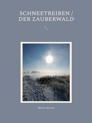 cover image of Schneetreiben / Der Zauberwald